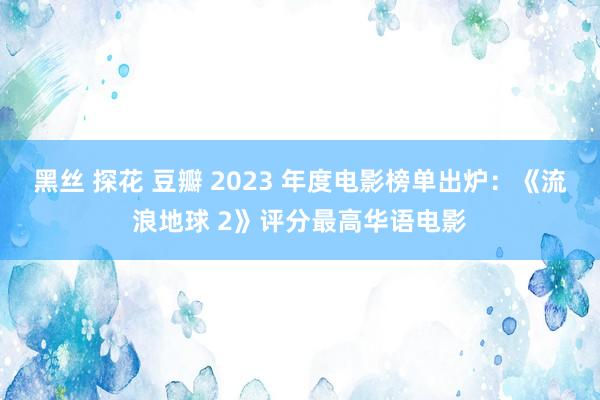 黑丝 探花 豆瓣 2023 年度电影榜单出炉：《流浪地球 2》评分最高华语电影