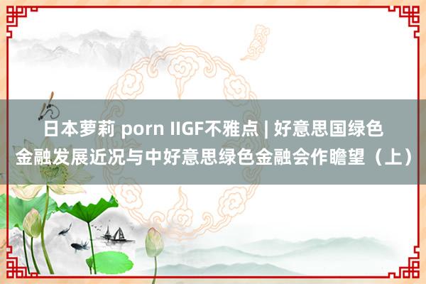 日本萝莉 porn IIGF不雅点 | 好意思国绿色金融发展近况与中好意思绿色金融会作瞻望（上）