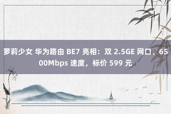 萝莉少女 华为路由 BE7 亮相：双 2.5GE 网口、6500Mbps 速度，标价 599 元