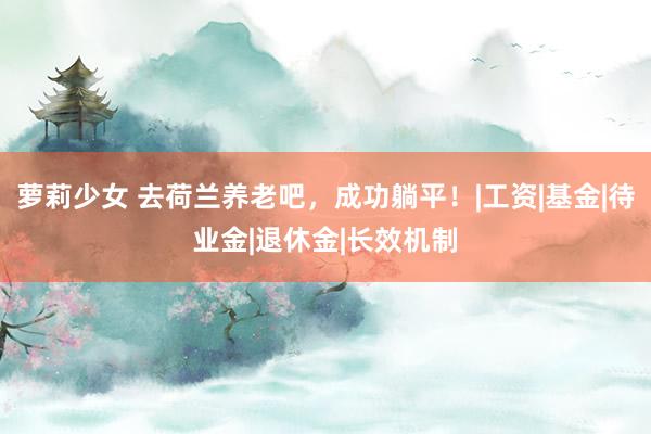 萝莉少女 去荷兰养老吧，成功躺平！|工资|基金|待业金|退休金|长效机制