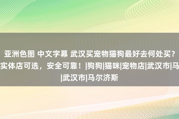 亚洲色图 中文字幕 武汉买宠物猫狗最好去何处买？这儿有实体店可选，安全可靠！|狗狗|猫咪|宠物店|武汉市|马尔济斯