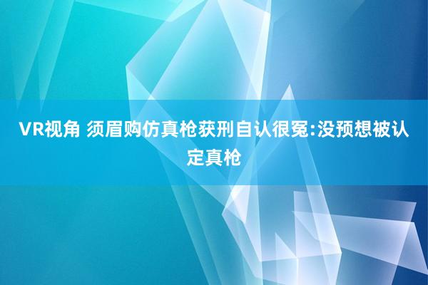 VR视角 须眉购仿真枪获刑自认很冤:没预想被认定真枪