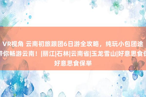 VR视角 云南初旅跟团6日游全攻略，纯玩小包团途径带你畅游云南！|丽江|石林|云南省|玉龙雪山|好意思食保举