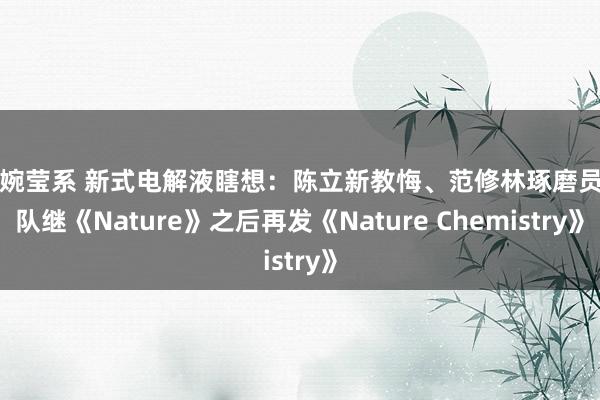 张婉莹系 新式电解液瞎想：陈立新教悔、范修林琢磨员团队继《Nature》之后再发《Nature Chemistry》