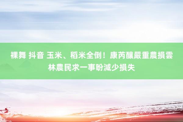 裸舞 抖音 玉米、稻米全倒！康芮釀嚴重農損　雲林農民求一事盼減少損失