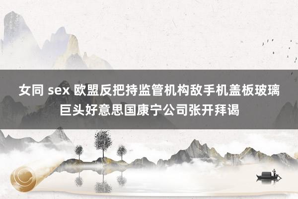 女同 sex 欧盟反把持监管机构敌手机盖板玻璃巨头好意思国康宁公司张开拜谒