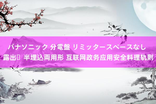 パナソニック 分電盤 リミッタースペースなし 露出・半埋込両用形 互联网政务应用安全料理轨则