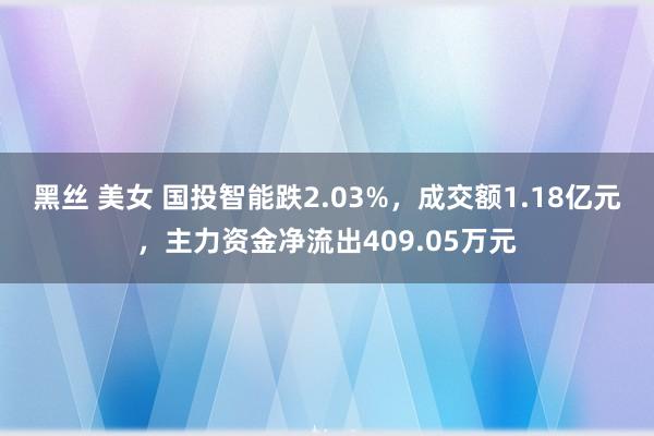 黑丝 美女 国投智能跌2.03%，成交额1.18亿元，主力资金净流出409.05万元