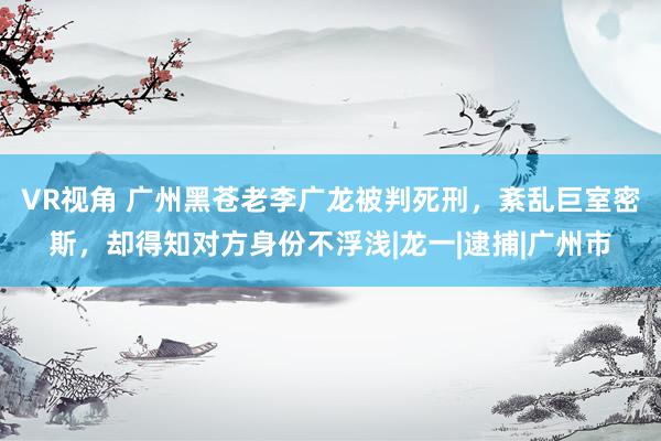 VR视角 广州黑苍老李广龙被判死刑，紊乱巨室密斯，却得知对方身份不浮浅|龙一|逮捕|广州市