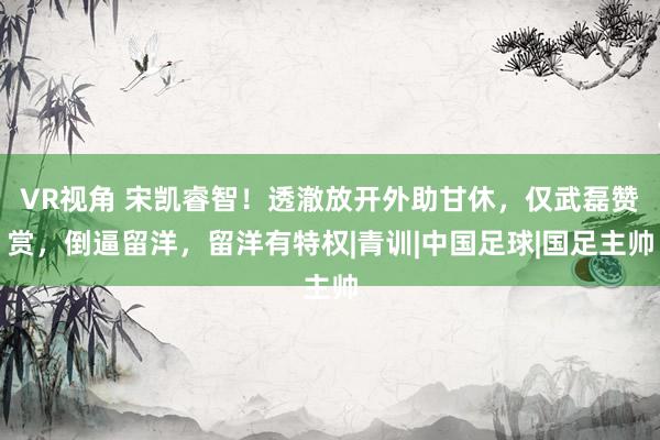 VR视角 宋凯睿智！透澈放开外助甘休，仅武磊赞赏，倒逼留洋，留洋有特权|青训|中国足球|国足主帅