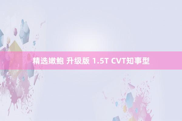 精选嫩鲍 升级版 1.5T CVT知事型